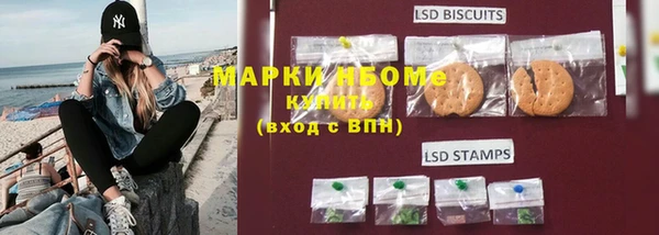 индика Бугульма