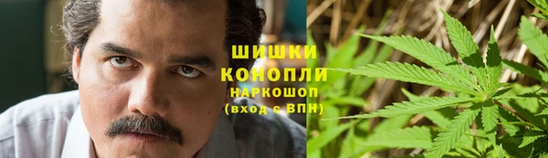 гидропоника Бронницы