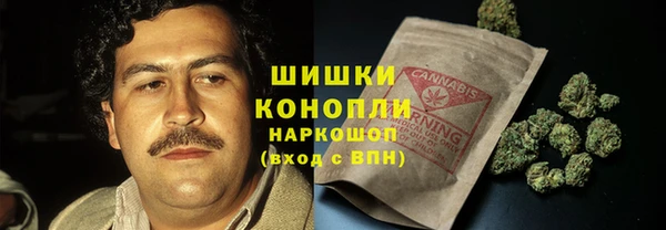 индика Бугульма