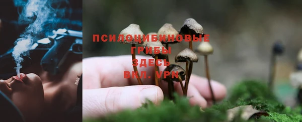 индика Бугульма