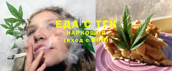 индика Бугульма