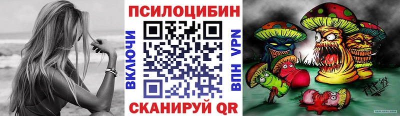 Галлюциногенные грибы Psilocybine cubensis  как найти   Менделеевск 